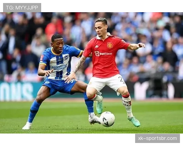 B费欧战关键战终结效率与战术角色解析